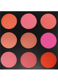 Morphe The Blushed Blush Palette 9B